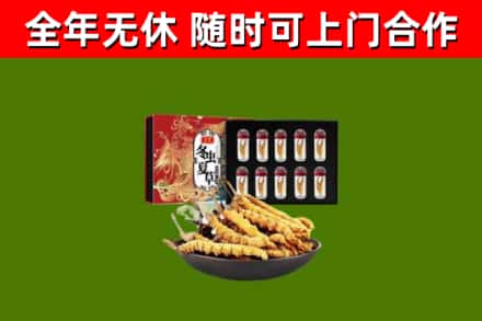 深圳回收冬虫夏草价格